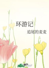 环游记
