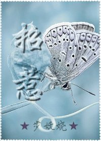招惹